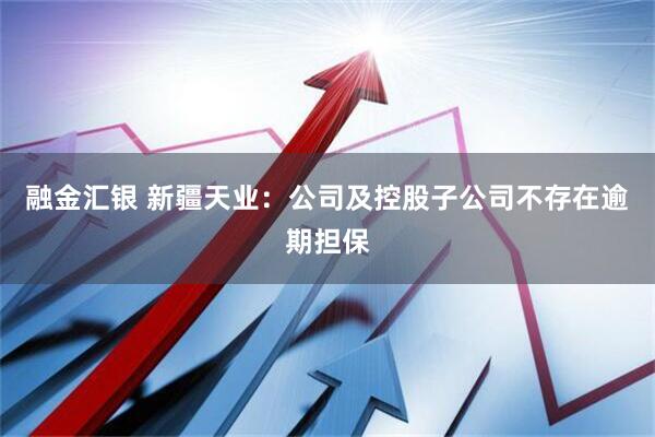 融金汇银 新疆天业：公司及控股子公司不存在逾期担保