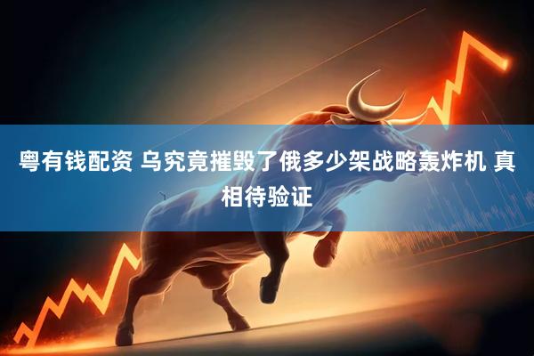 粤有钱配资 乌究竟摧毁了俄多少架战略轰炸机 真相待验证