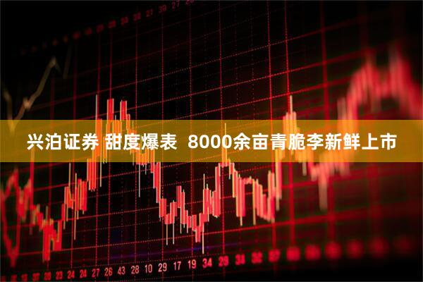 兴泊证券 甜度爆表  8000余亩青脆李新鲜上市
